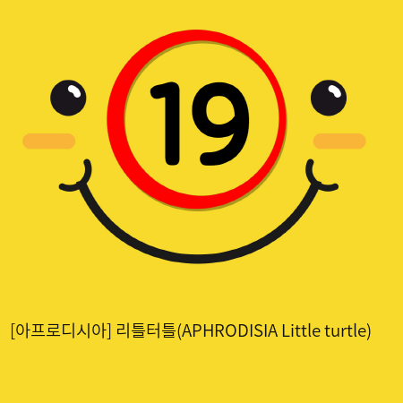 [아프로디시아] 리틀터틀(APHRODISIA Little turtle)